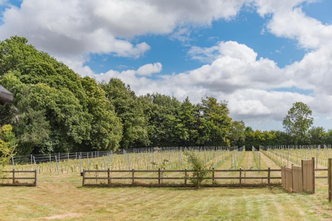 Bacchus By Bloom Stays Canterbury Exteriör bild